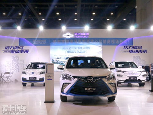 海馬新能源E系列車型亮相2018鄭州車展