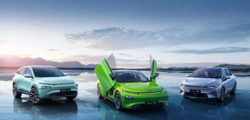 官宣了 小鵬汽車正式成為第31屆大運(yùn)會(huì)火炬?zhèn)鬟f指定用車