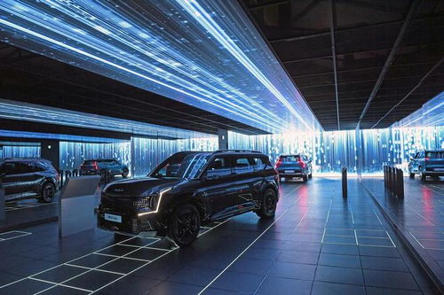 起亞ev9成為首款支持 軟件訂閱 的韓系車