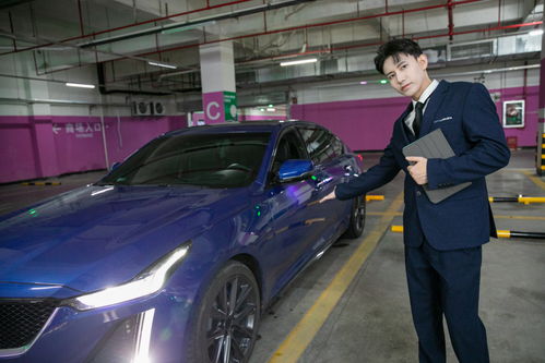 商務(wù)車豪車汽車銷售汽車顧問車險人物攝影圖 攝影
